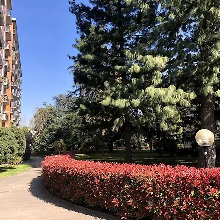 Veronica, Per Lavoro E Relax *